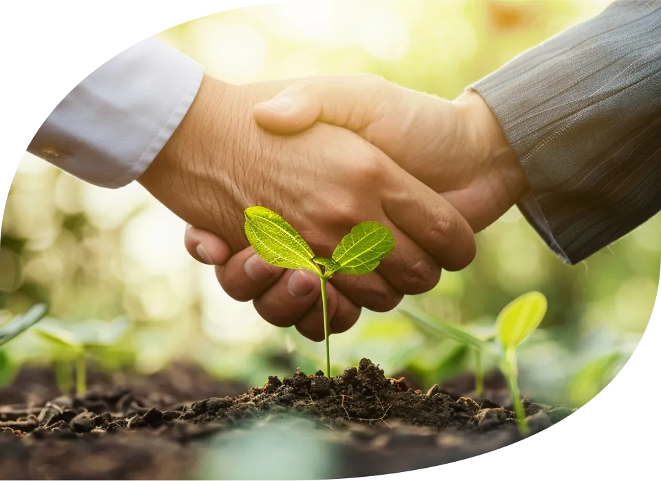 私たちのGXアプローチ - Approach